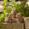 thumbnail image 6 of Melrose Mini Bunny Rabbit Outdoor Garden Figurines - 5" - Brown, 6 of 7