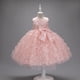 thumbnail image 1 of Vestido de princesa con estampado de mariposa para niña, vestido de malla abullonada, vestido de exhibición para niña pequeña, 1 of 6