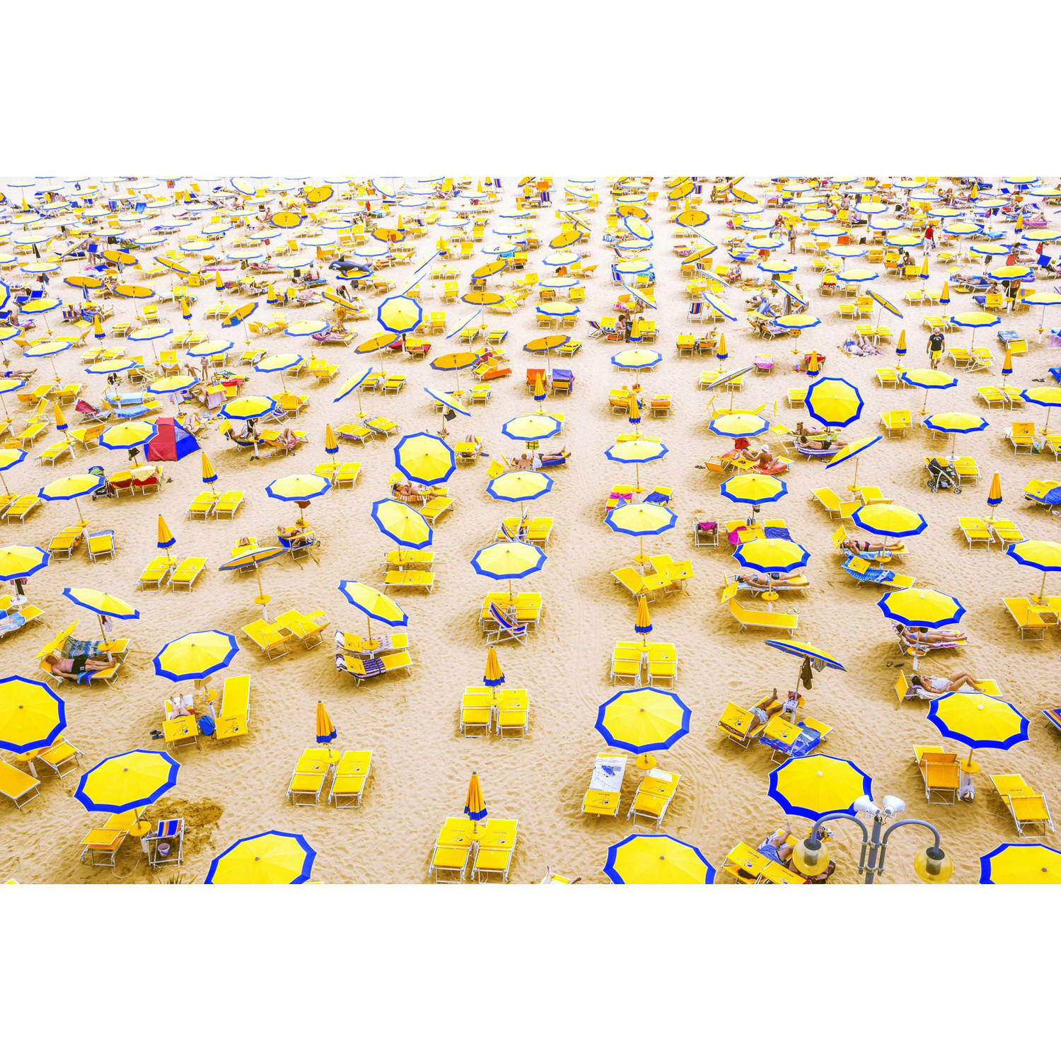 Marmont Hill Yellow Umbrellas Painting Wall Art Print