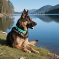 thumbnail image 4 of Minzimin Reflective Dog Collar for Medium Large Small XS XL Extra Small Dogs, Nylon Adjustable Puppy Collar, 4 of 6