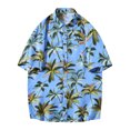 thumbnail image 1 of Mens Casual Slim Solid Color Button Lapel Short Sleeve Shirt, 1 of 8