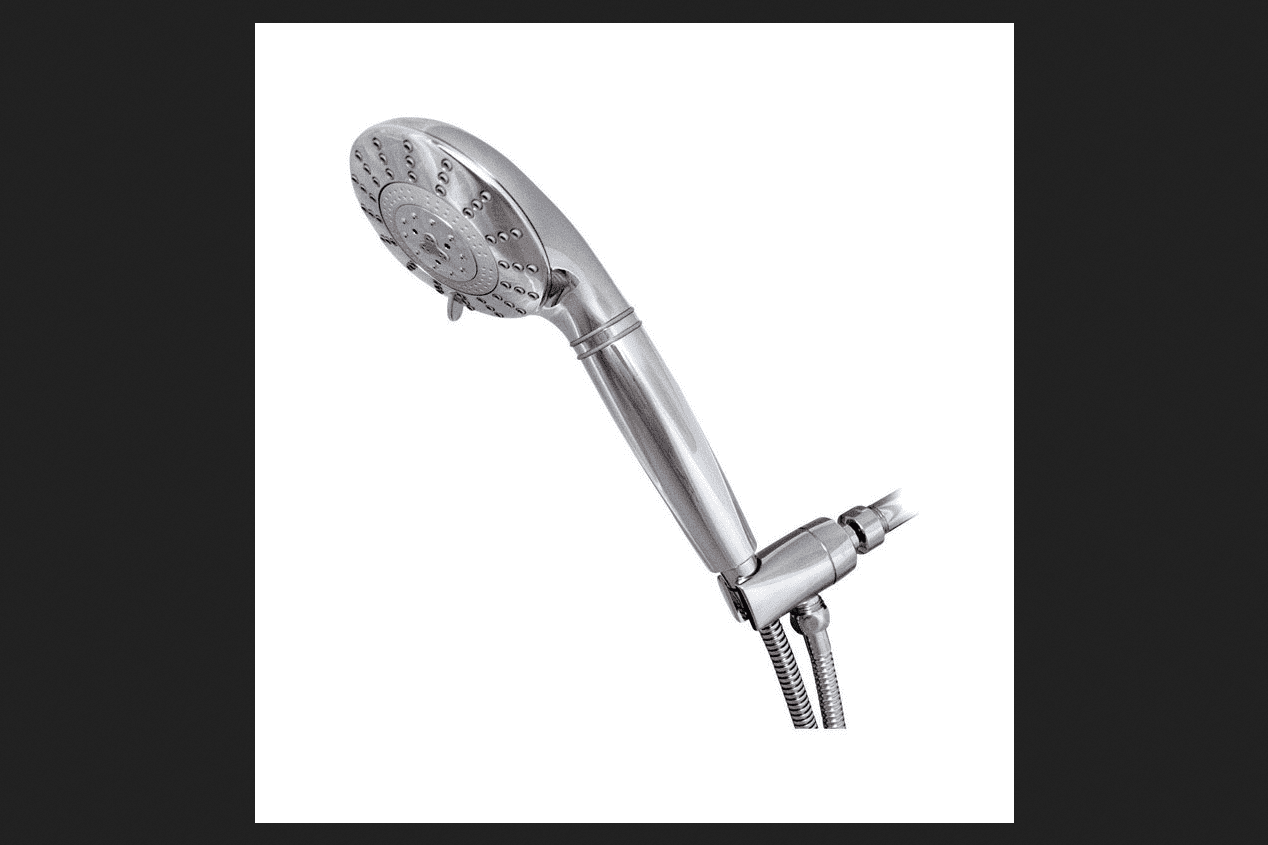 Photo 1 of Hand Held Shower Filter