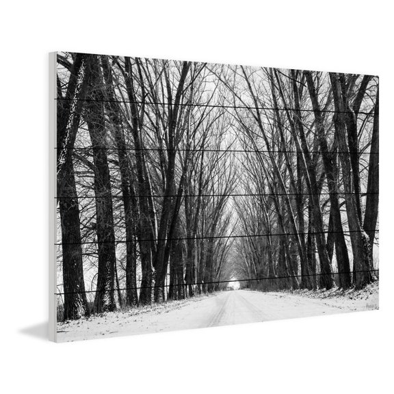 Marmont Hill Rows of Trees Painting Print