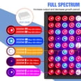 thumbnail image 2 of Grow Light, Led Full Spectrum Lamp, 2000W Led Plant Light, Bulb Greenhouses Indoor Phyto Lamp, Grow Tent US Plug, 2 of 9