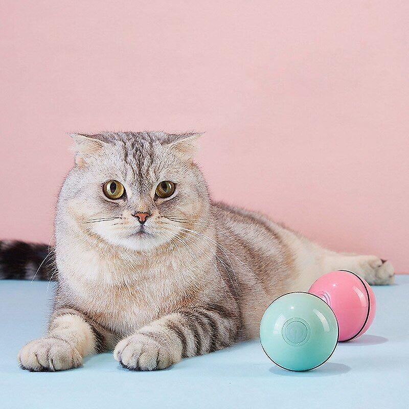 Magic rolling ball for cats cheap