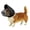 Black, variant on Colenumone Dog Mask for Outdoor Safety - Vet-Recommended Mesh Field Guard for Protection Against Foxtails, Grass Seeds and Debris | Breathable, Lightweight, Adjustable Buckle Design