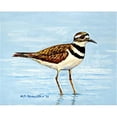 thumbnail image 1 of Betsy Drake DM546G 30 x 50 in. Killdeer Door Mat, 1 of 1