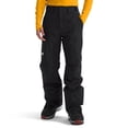 thumbnail image 1 of Pantalon de Neige The North Face Freedom Isolé Homme TNF Noir, 1 of 6