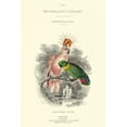 thumbnail image 2 of Lizars, W.H. 17x24 Black Ornate Wood Framed with Double Matting Museum Art Print Titled - The Naturalists Library II, 2 of 4
