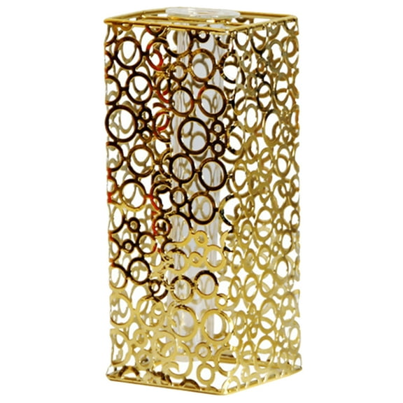 Masteelf Golden Glass Tube Vase with Iron Frame for Elegant Display Adds Style to Any Space 6 Pieces