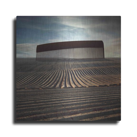 Luxe Metal Art 'Combing The Field' by Dariusz Klimczak, Metal Wall Art, 12"x12"