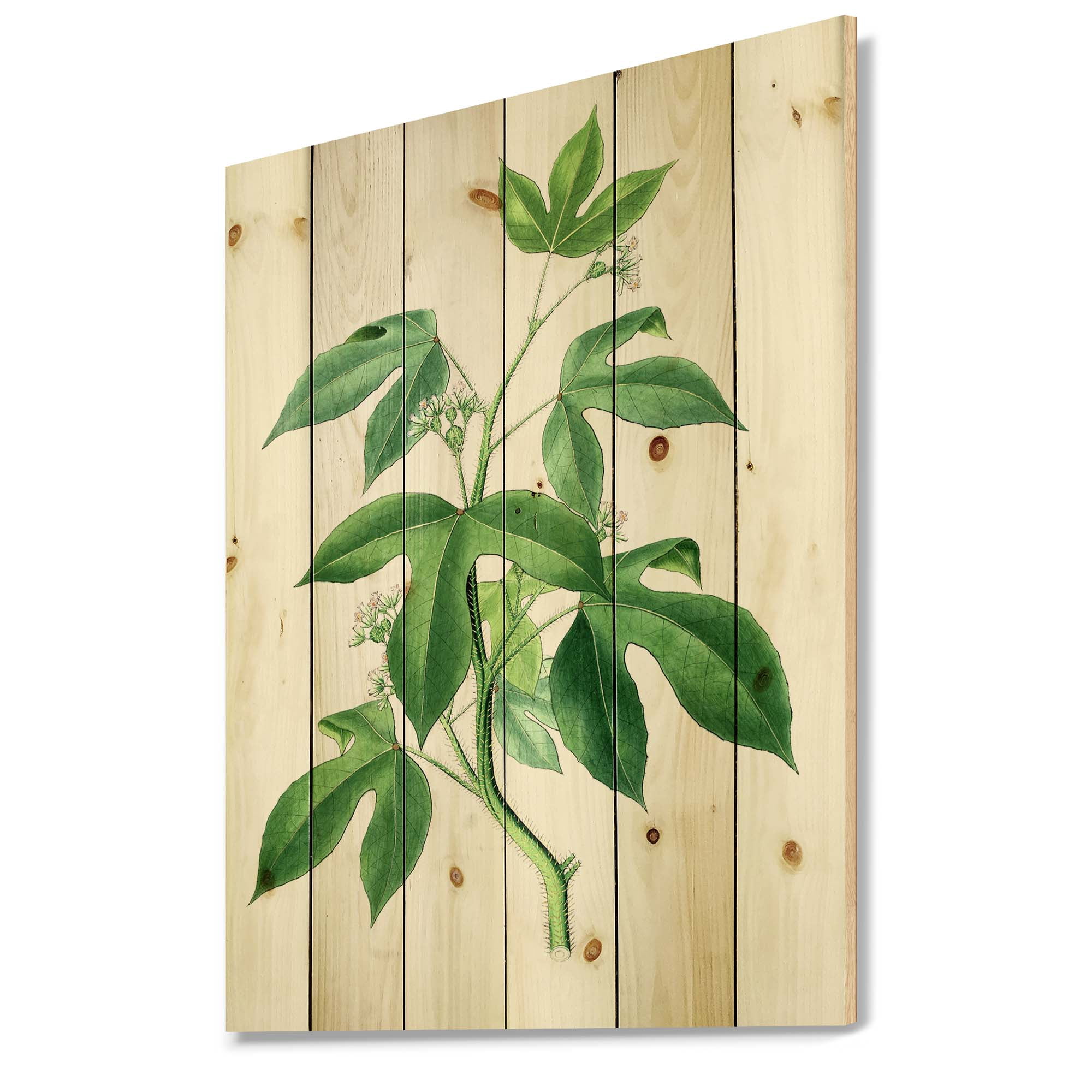 Designart 'Ancient Green Leaves Plants V' Traditional Print on Natural Pine Wood