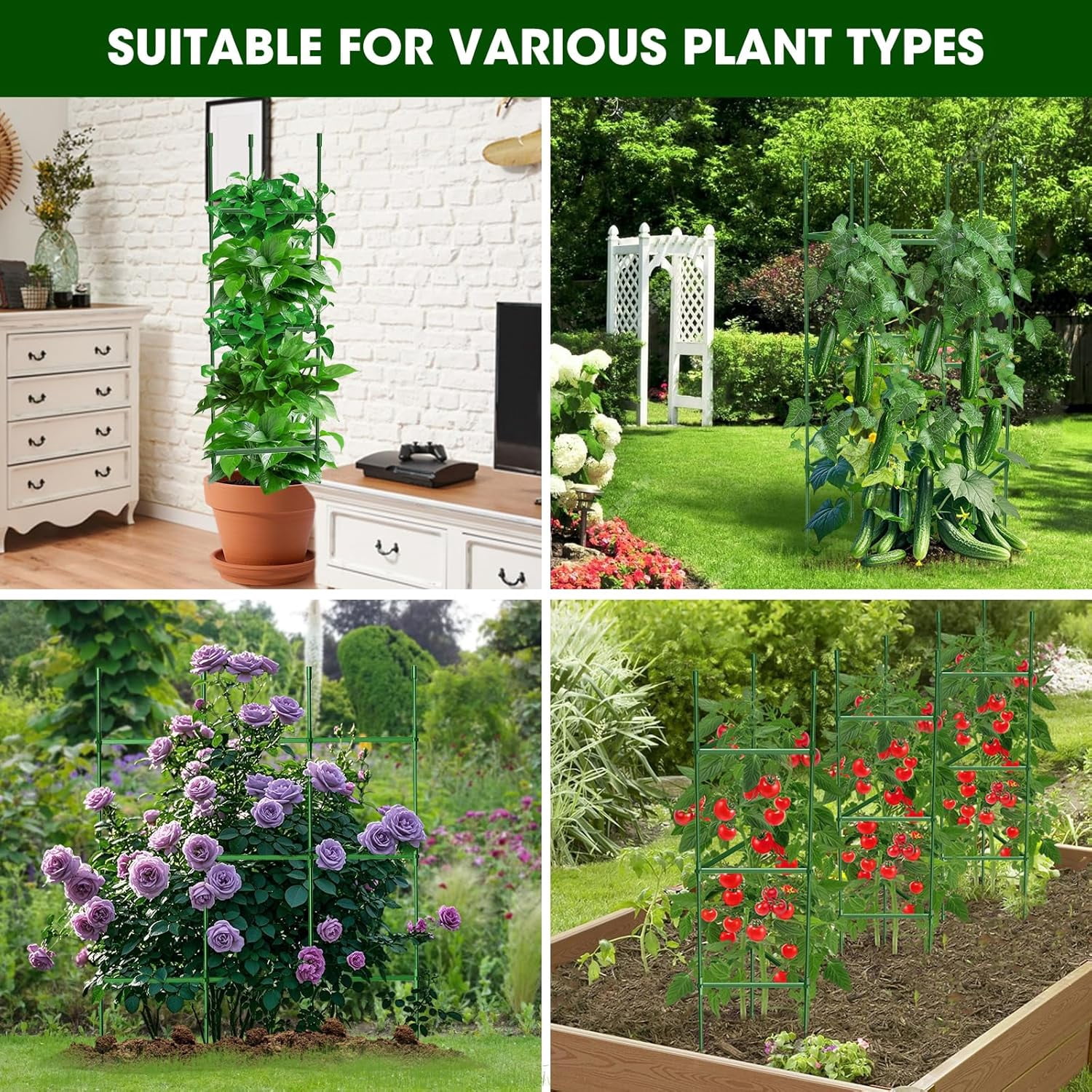 3PCS Tomato Cages for Garden, Tomato Trellis for Raised Garden Bed, 51.2" Tall Tomato Cage Plant Support for Pots, Gardening Supplies Trellis for Climbing Plants