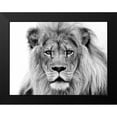 thumbnail image 2 of Franklin, William 18x15 Black Modern Framed Museum Art Print Titled - Male Lion, 2 of 5