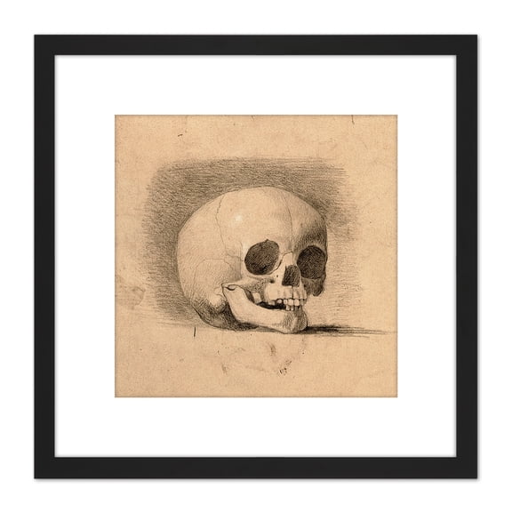 Landseer Human Skull Anatomy Front View Drawing 8X8 Inch Square Wooden Framed Wall Art Print Picture with Mount