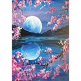 thumbnail image 3 of Moon Peinture Diamant 5D DIY Full Drill, 3 of 3