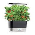 thumbnail image 4 of AeroGarden Salsa Garden Seed Pod Kit (6-Pod) 6-Pod, 4 of 5
