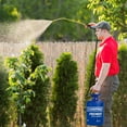 thumbnail image 3 of Chapin 2 Pack Premier Pro 1 Gal Tri Poxy Steel Tank Handheld Lawn Garden Sprayer, 3 of 10