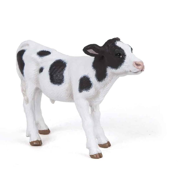 Piebald Calf