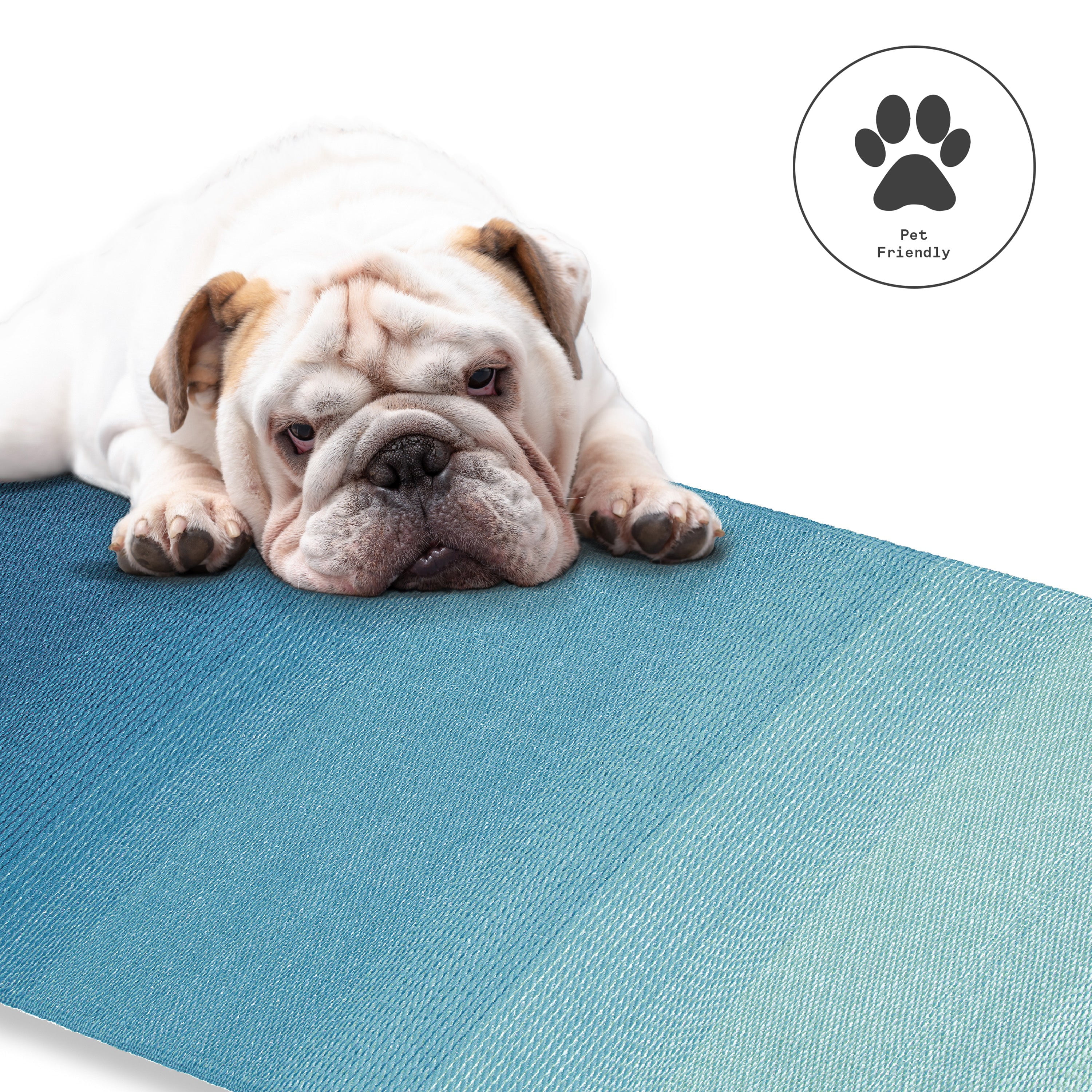 Fab Habitat Outdoor Rug - Waterproof, Fade Resistant, Crease-Free - Premium Recycled Plastic - Ombre - Patio, Deck, Porch, Balcony, Laundry Room - Big Sur - Teal - 4 x 6 ft
