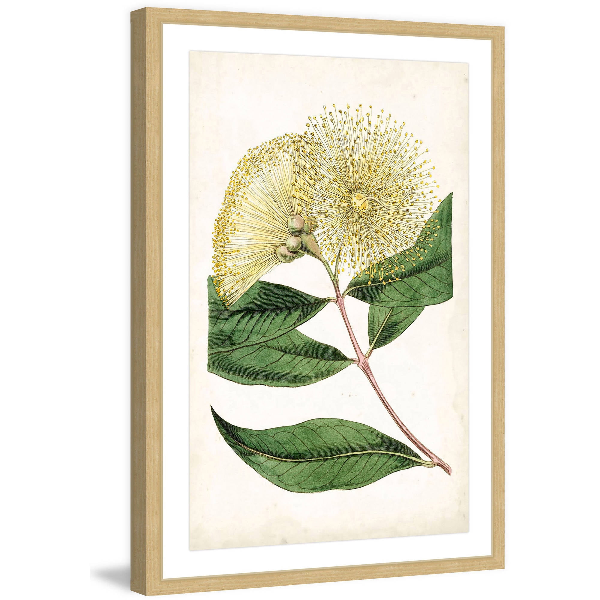 Marmont Hill "Floral Lace I" Framed Painting Print