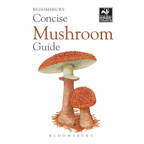 Concise Guides: Concise Mushroom Guide (Paperback)