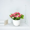 thumbnail image 4 of GreenHome In Real for Home Desk Centerpiece Arrangement, 4 of 5