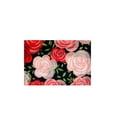 thumbnail image 4 of Wrapables Large Foldable Tote Nylon Reusable Grocery Bags, Pink Roses, 4 of 6