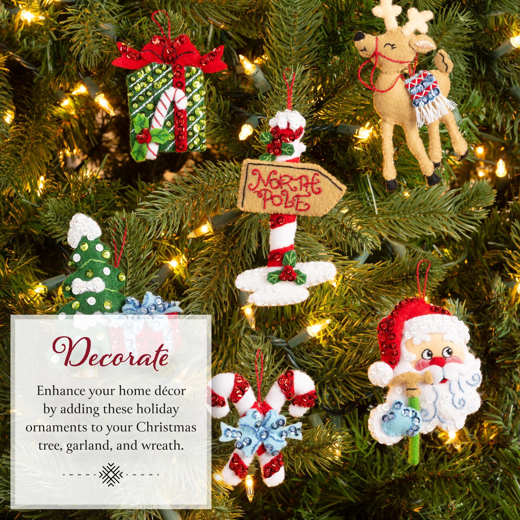 Bucilla North Pole This Way 6 Count Felt Applique Ornament Kit, 3 x 4 in