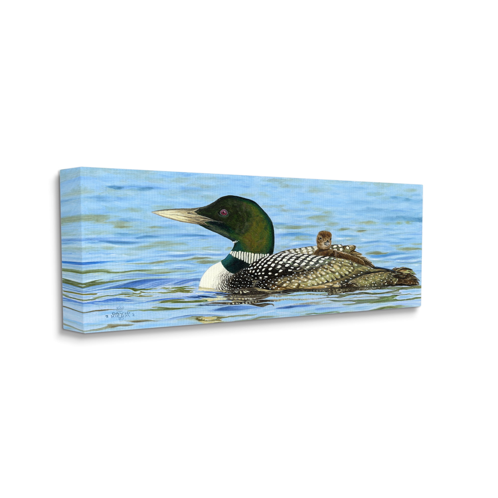 Stupell Industries Mallard & Duckling in Water Animals & Insects Photography Gallery Wrapped Canvas Print Wall Art, 24 x 10
