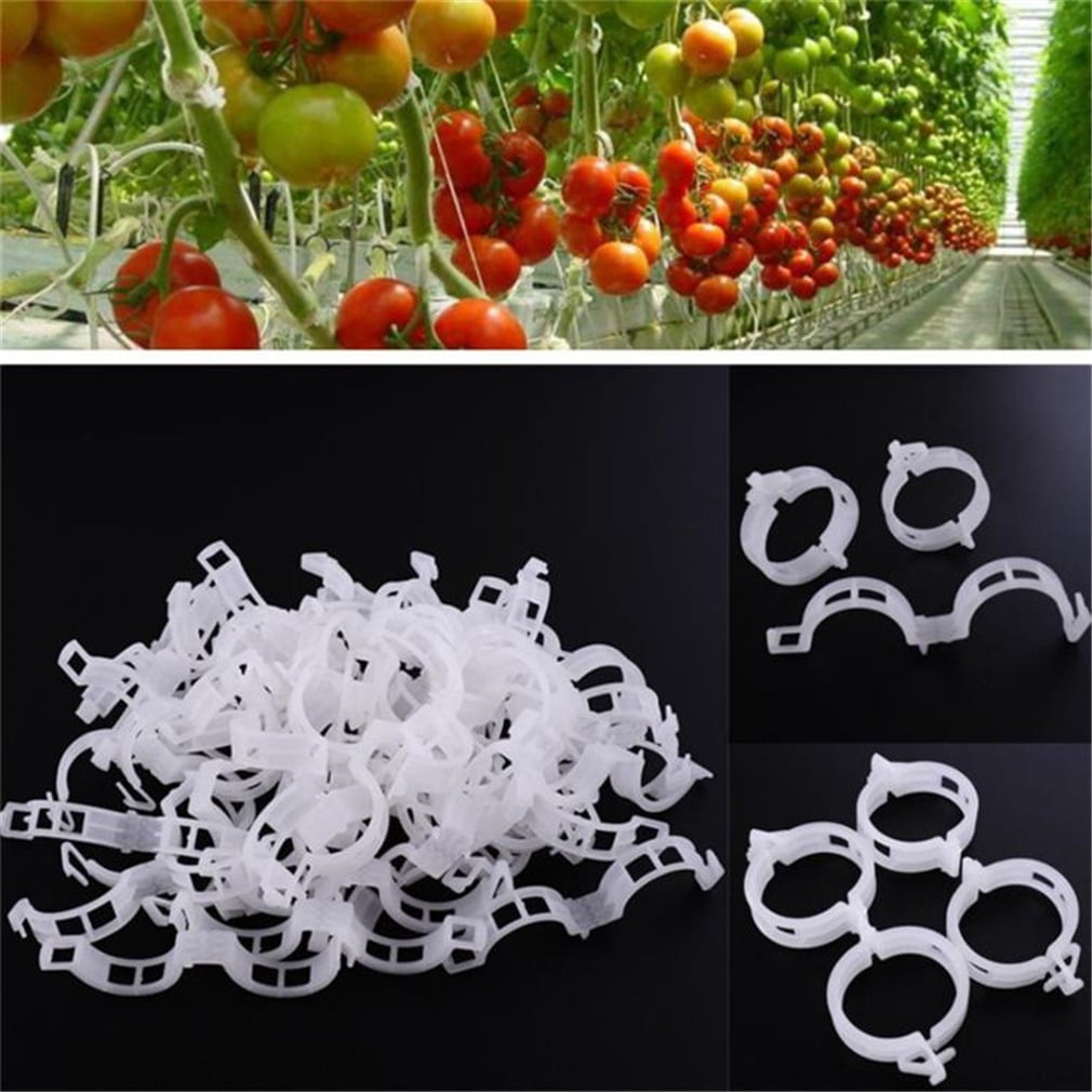 300 Replacements Crop Trellis Clips Perfect for Vine Vegetables Tomatoes 