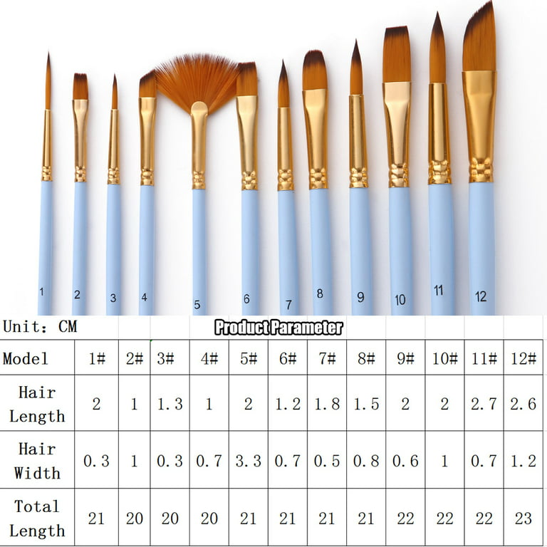 U.S. Art Supply 12 Piece Special Effects Artist Paint Brush Set - Taklon  Synthetic FX Brushes, Ribbon, Muti-Liner, Angular - Watercolor, Acrylic,  Oil