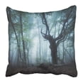 thumbnail image 1 of Funda de almohada ABPHQTO Bosque Oscuro en la Niebla Árbol Viejo Encantado 40x40 cm, 1 of 1
