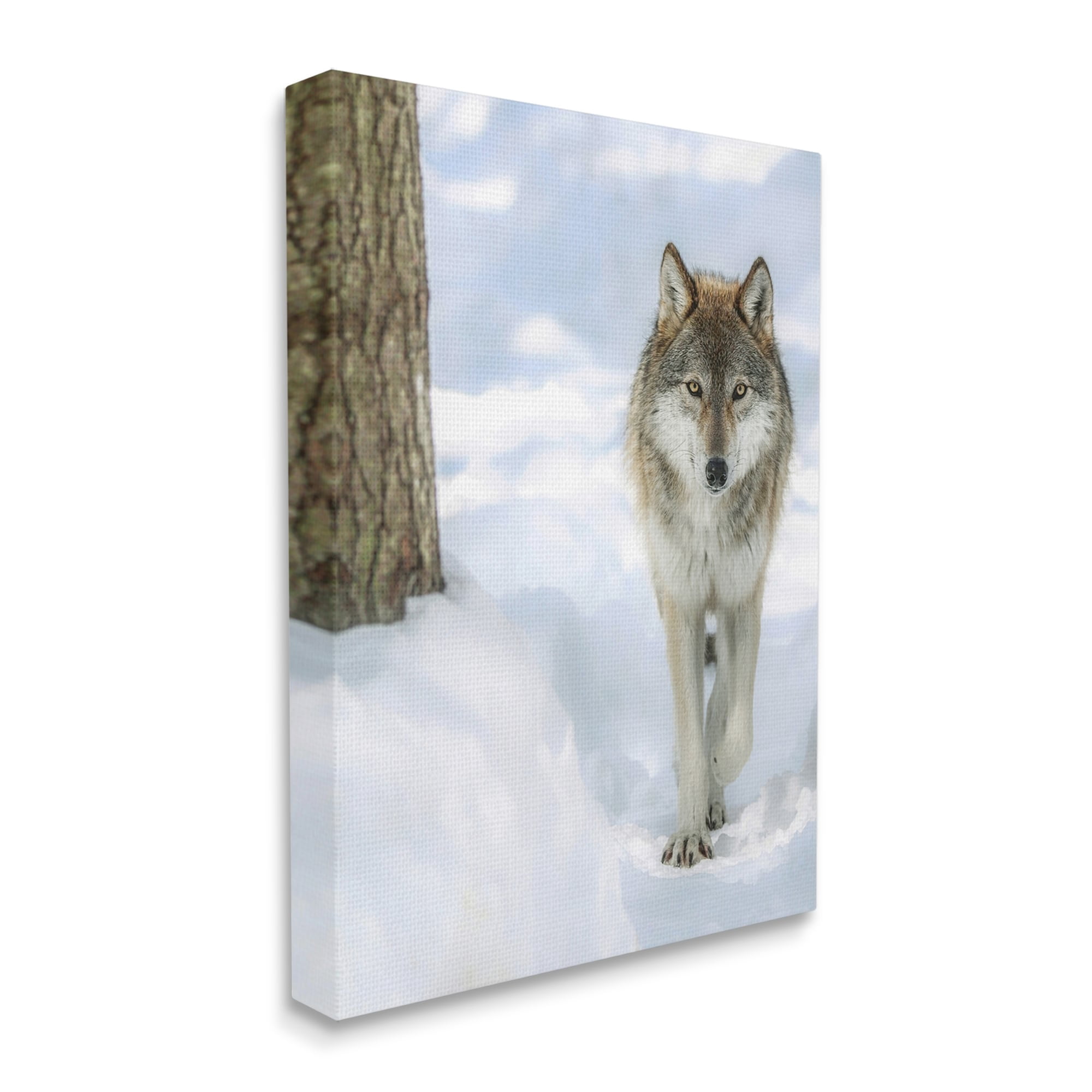Stupell Industries Wild Wolf Winter Snow Photography Animals & Insects Photography Gallery Wrapped Canvas Print Wall Art