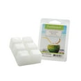 thumbnail image 2 of Scentsationals Coconut Vacay 2.5 oz Fragrant Wax Melts - 4 Pack, 2 of 2