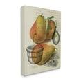 thumbnail image 3 of Stupell Industries Pear Fruit Harvest Illustration Vintage Text Passage, 36 x 48,Design by Daphne Polselli, 3 of 5