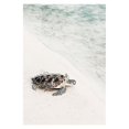 thumbnail image 3 of Póster de lienzo con estampado de playa, mar, océano, arte de pared, puente, hojas, tortuga, gaviota, pintura vibrante de verano, imagen nórdica para decoración del hogar, 3 of 5