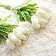thumbnail image 5 of 30 Piezas de Flores de Tulipanes Artificiales Tulipanes de Tacto Real Ramo de Tulipanes de PU de Holanda Falsa Flor de LáTex TulipáN Blanco (Blanco), 5 of 9
