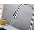 RUNFINE Single-Handle Pull Down Sprayer Kitchen Faucet Chrome Finish
