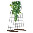 thumbnail image 2 of Slsy A-Frame Cucumber Trellis - Steel Plant Support for Climbing Plants, 2 of 8