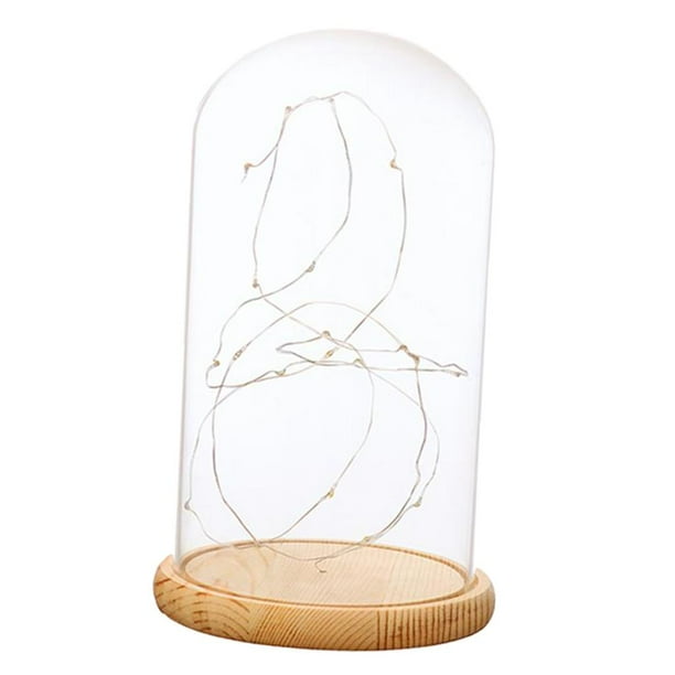 Cúpula con vitrina de cristal con luces LED suspendidas, decoraciones para UNA