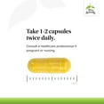 thumbnail image 5 of Terry Naturally Arthocin - 60 Vegan Capsules - Joint & Cartilage Support Supplement, 5 of 8