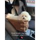 thumbnail image 3 of 1pc Pet Car Seat For Small Pets With Foldable Armrest, Portable Dog Booster Seat With Thick Cushion For Travel, Compatible With Cars, Trucks And Suvs, 3 of 4