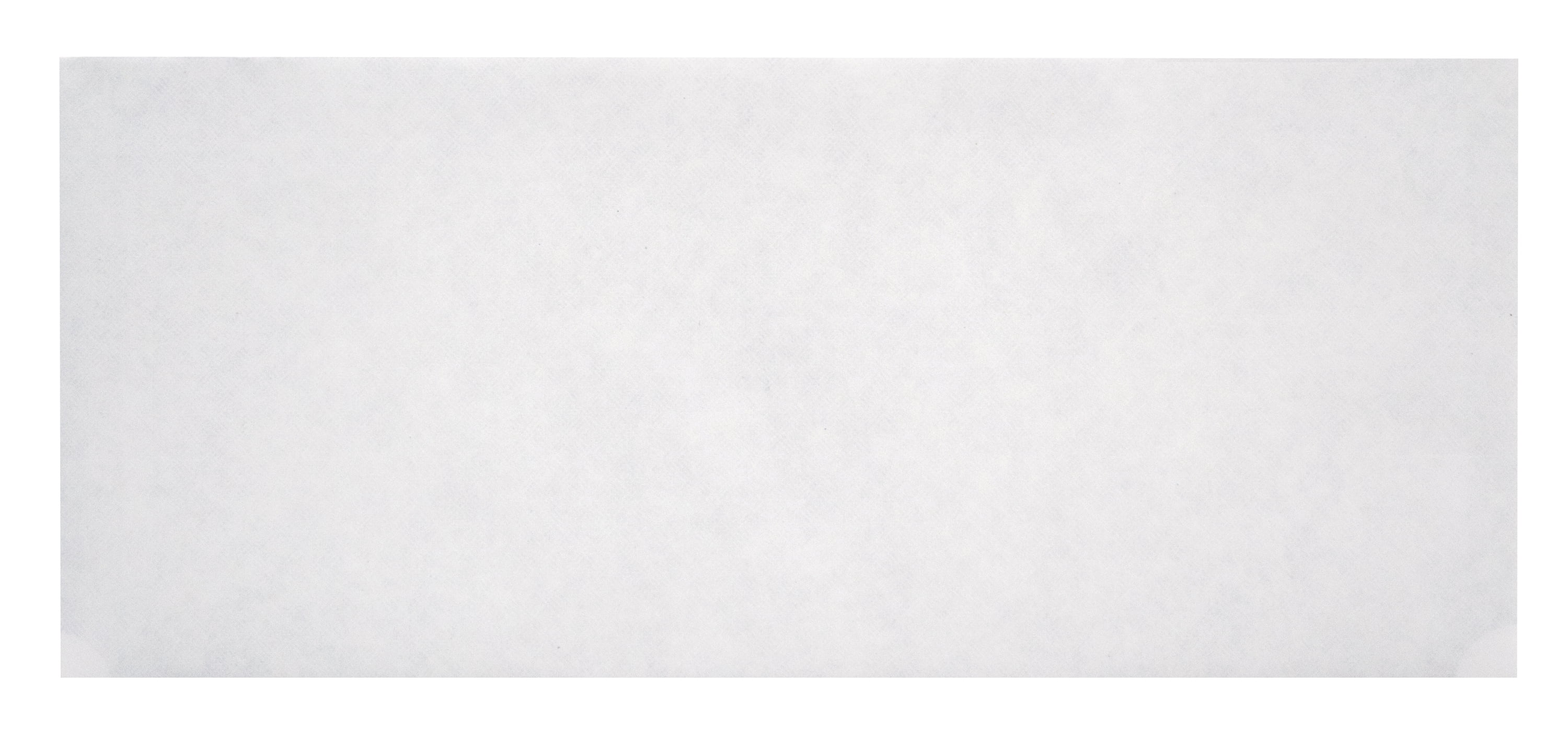 Pen + Gear Size #10 Envelopes, Peel & Stick Closure, White, Privacy Tinted (Blue), 250 per Box