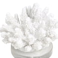 thumbnail image 4 of 6" x 4" White Polystone Small Textured Coral Sculpture with Clear Acrylic Base, by DecMode, 4 of 9