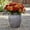 Grey, variant on Kira Ribbed Amphora-Style Cement Planter