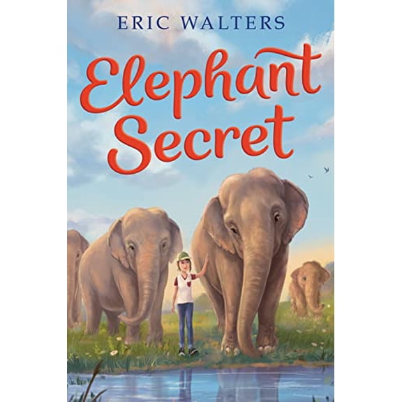 Pre-Owned Elephant Secret (Paperback) 0358206375 9780358206378
