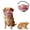 Color#7, variant on Realistic Latex Dog Face Mask for Small and Medium Pets, Funny Costume Muzzle Accessory