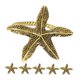 thumbnail image 5 of BEADCEST 6Ud De Servilletas Dorados Duraderos Con Para Cenas Y Eventos Especiales, 5 of 8