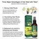 thumbnail image 5 of Aceite para el crecimiento rápido del cabello contra la alopecia, aceite esencial de jengibre, crema para el aumento de la línea del cabello alta y la calvicie, esencia para el cabello -9387694823414, 5 of 5
